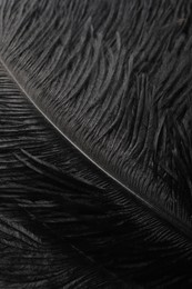 Photo of Beautiful black feathers as background, closeup view