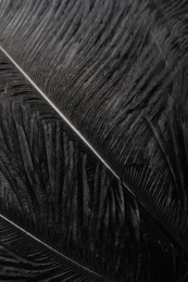 Photo of Beautiful black feathers as background, closeup view