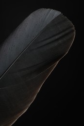 Photo of Beautiful bird feather on black background, closeup