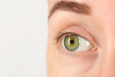 Woman with beautiful green eyes on light grey background, closeup