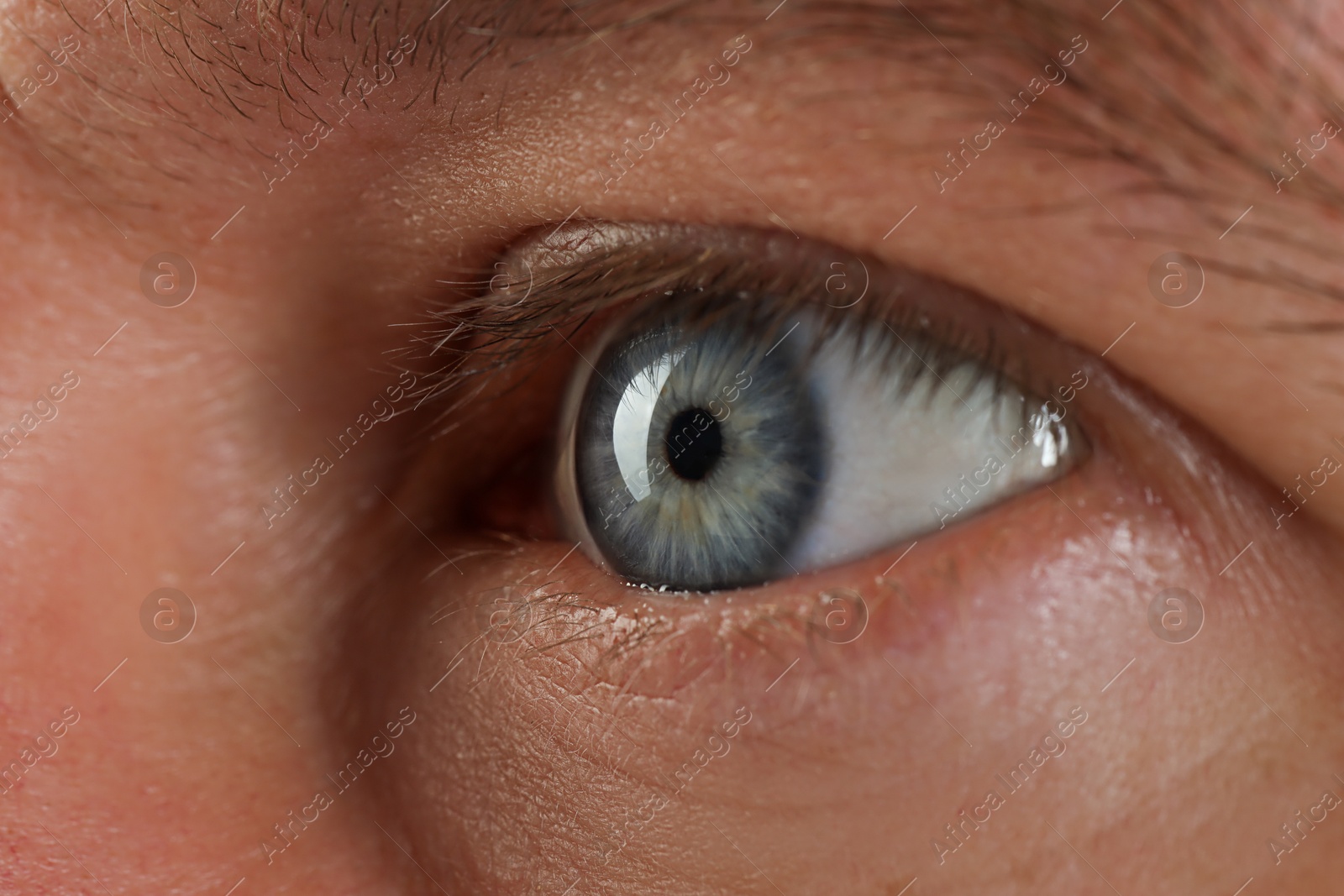 Photo of Macro photo of man with beautiful blue eyes