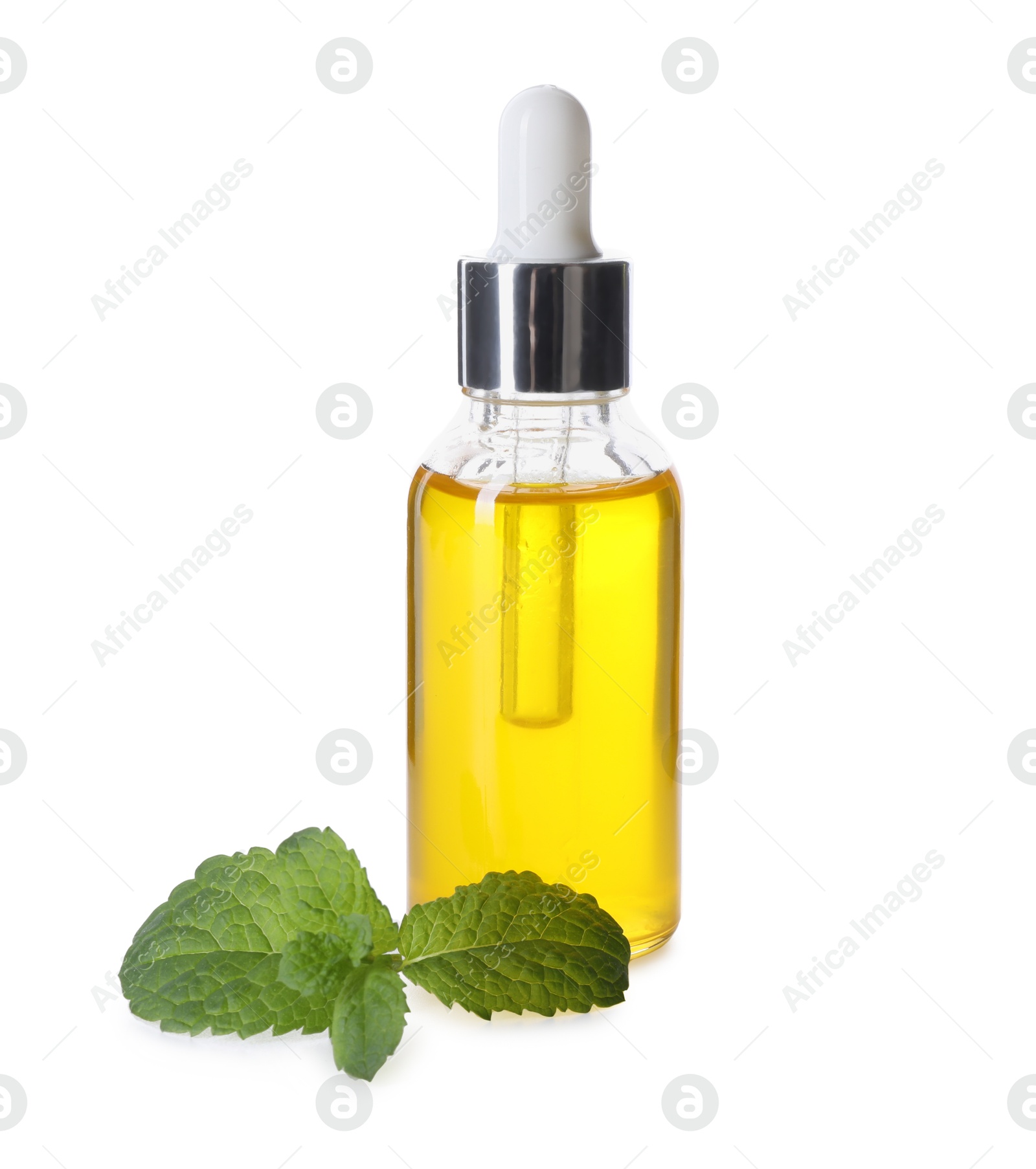 Photo of Bottle of essential oil and mint isolated on white