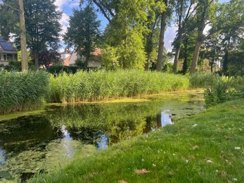 Picturesque view of river, trees and grass