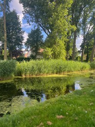 Picturesque view of river, trees and grass