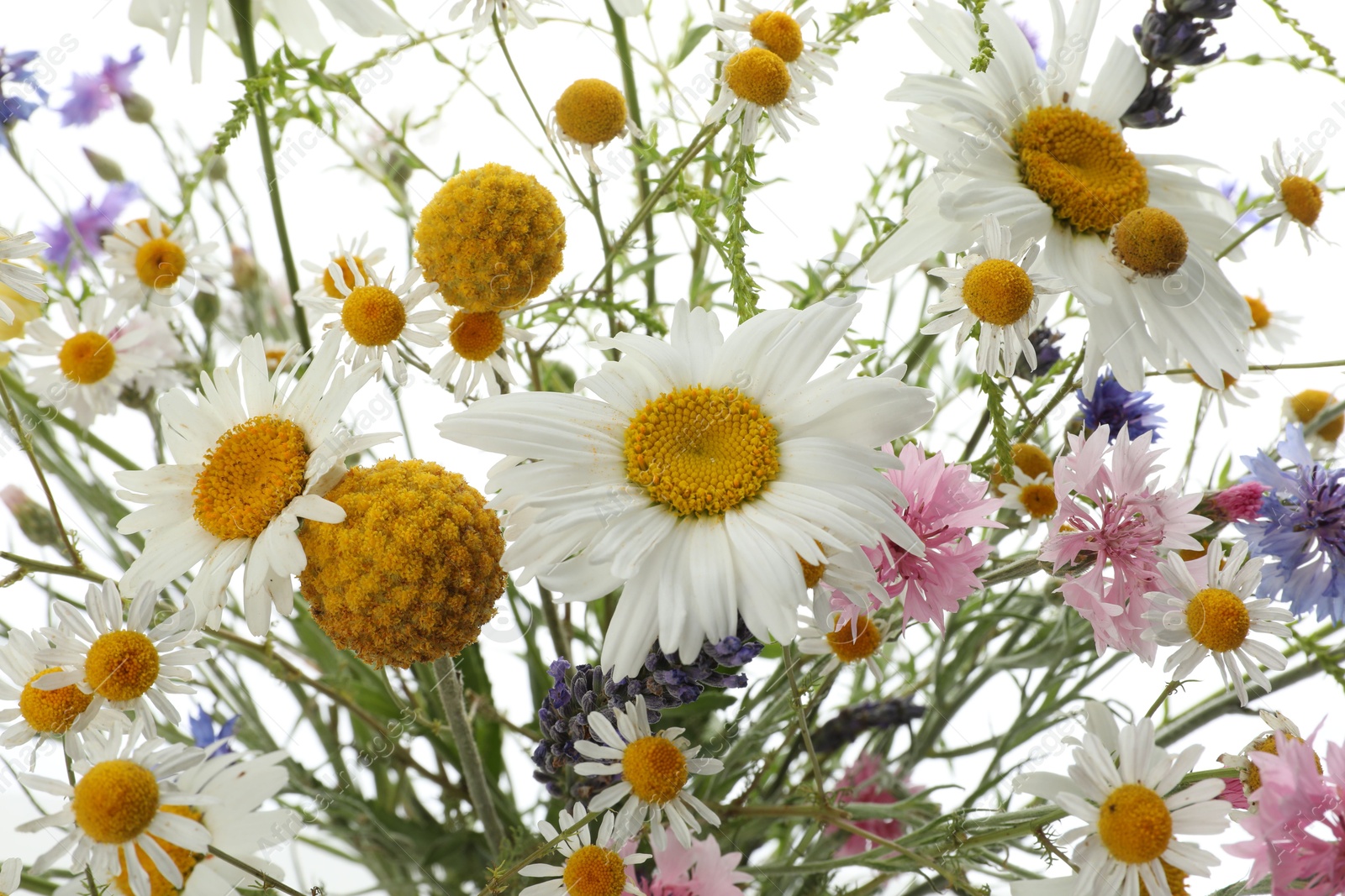 Photo of Bouquet of beautiful wildflowers on white background, closeup