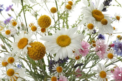 Photo of Bouquet of beautiful wildflowers on white background, closeup