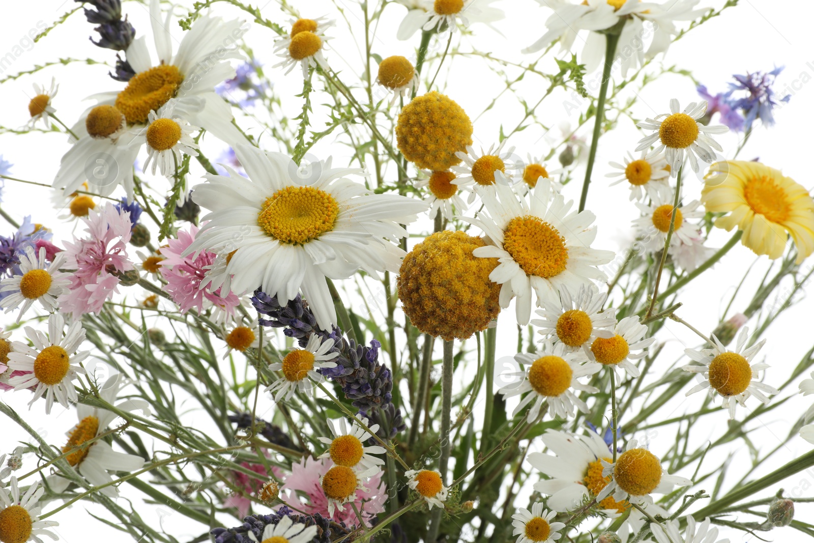 Photo of Bouquet of beautiful wildflowers on white background, closeup