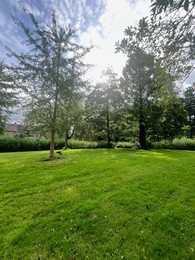 Picturesque view of park with trees in summer