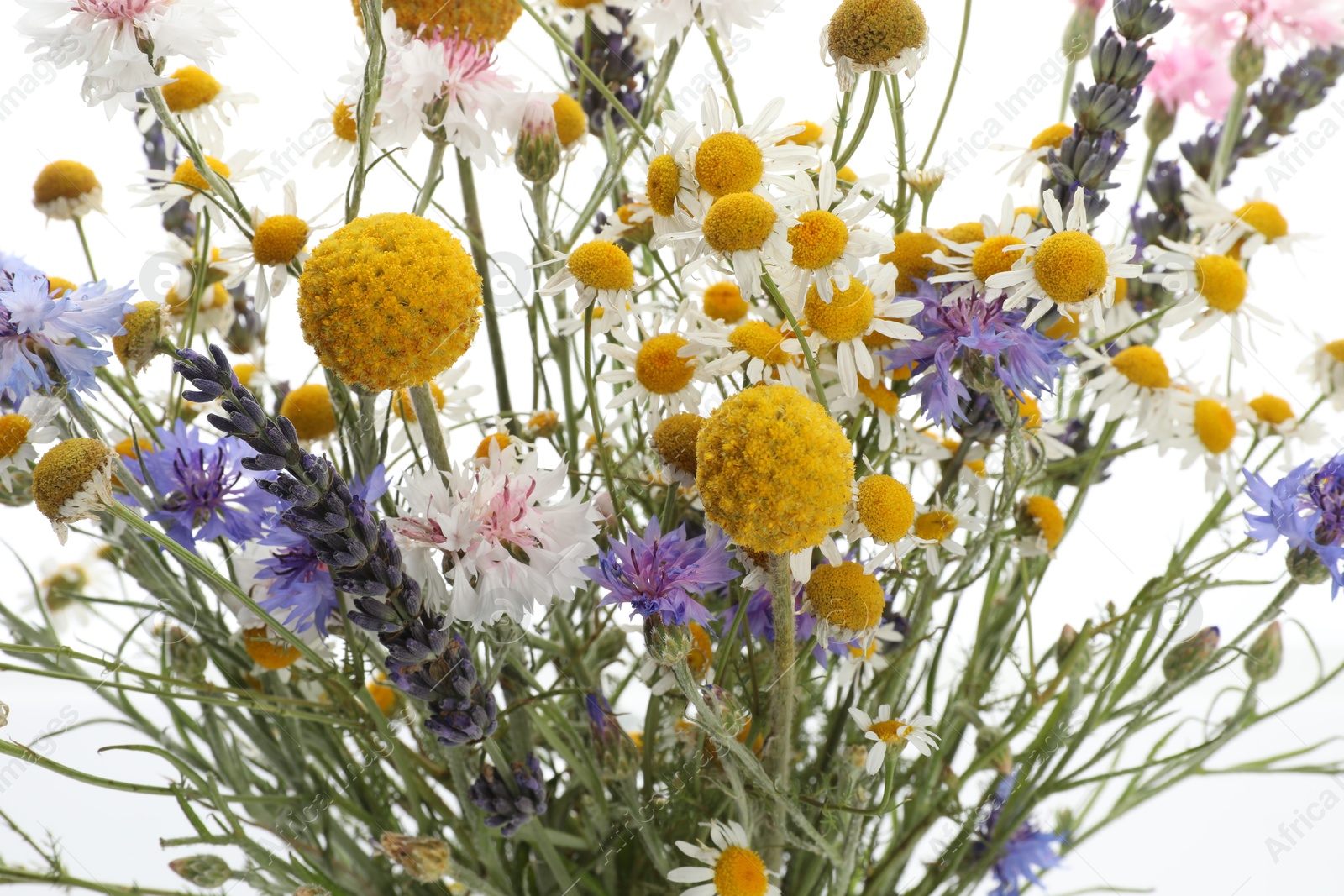 Photo of Bouquet of beautiful wildflowers on white background, closeup