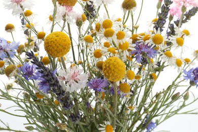 Photo of Bouquet of beautiful wildflowers on white background, closeup