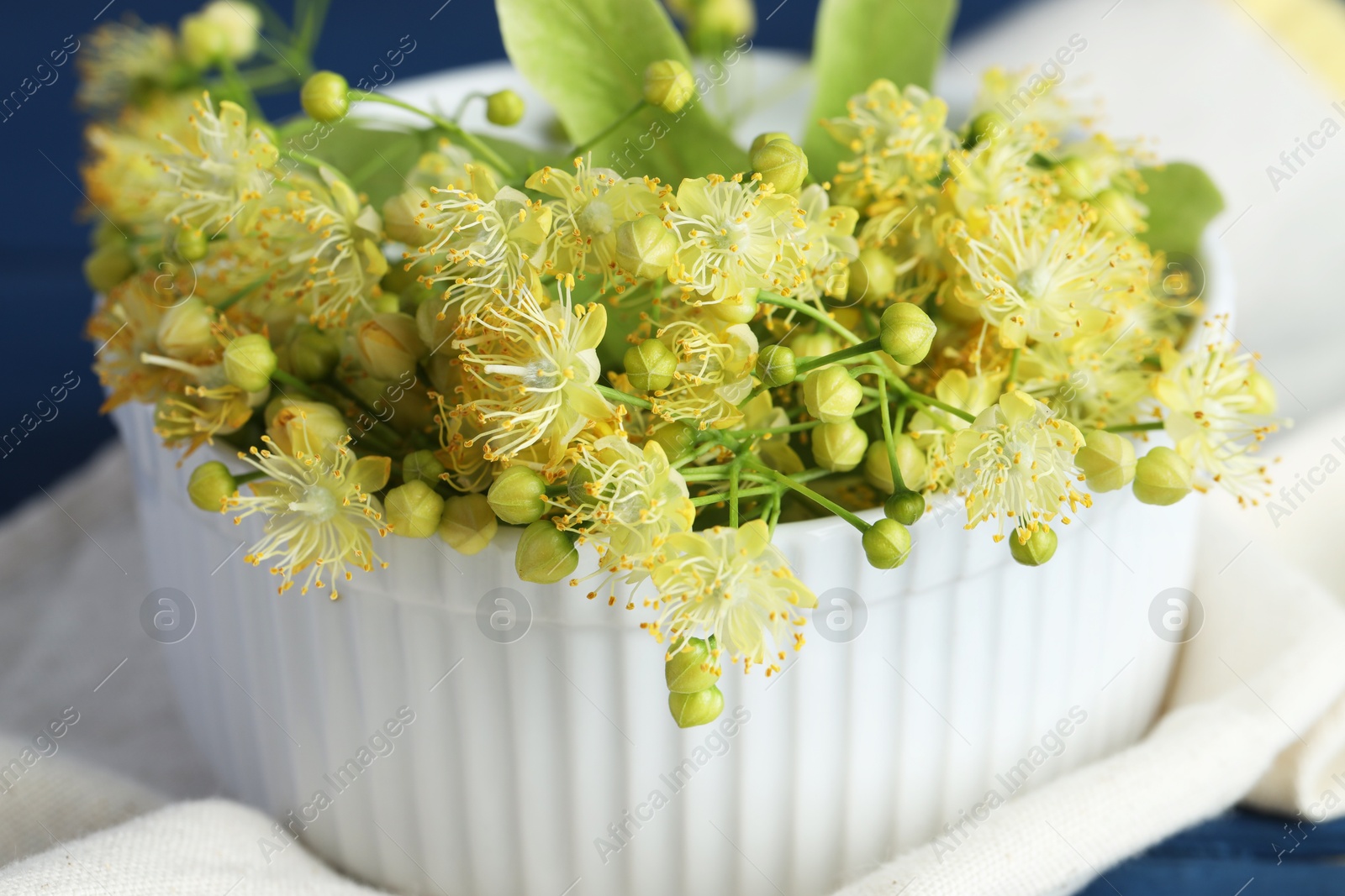 Photo of Fresh linden leaves and flowers in bowl on blue wooden table, closeup