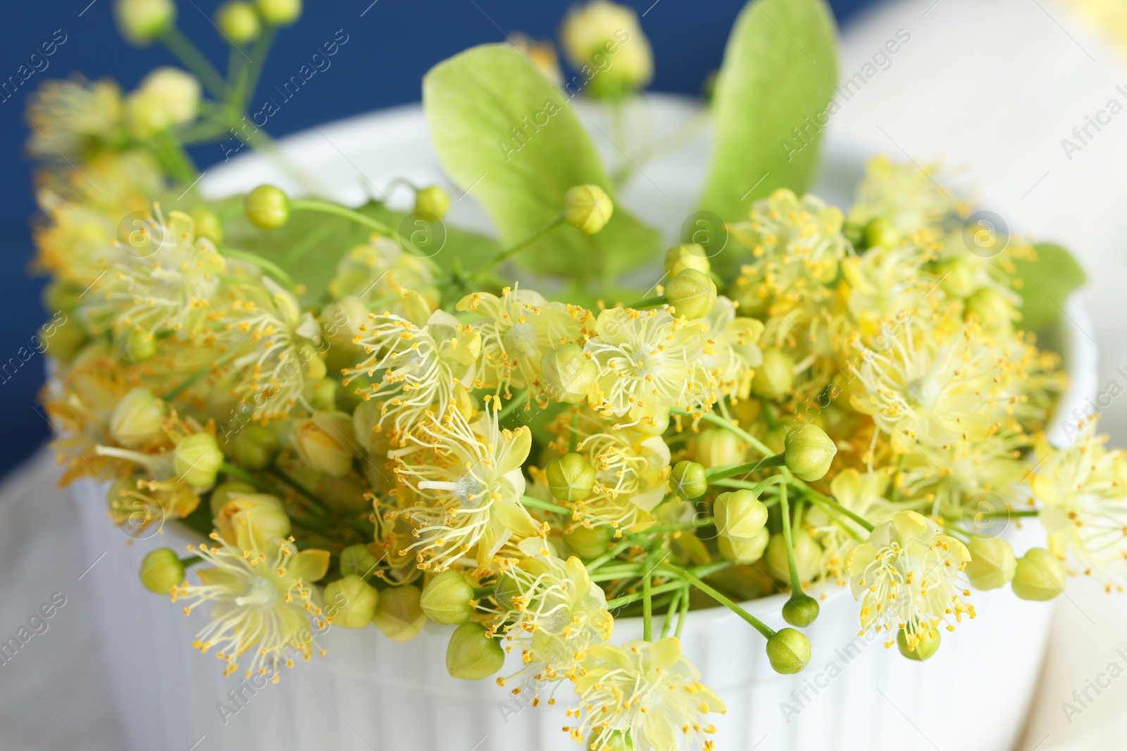 Photo of Fresh linden leaves and flowers in bowl on table, closeup