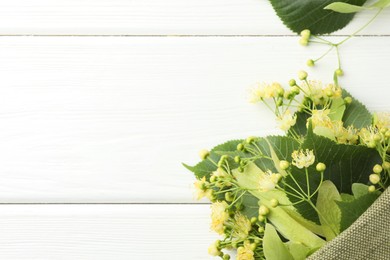 Fresh linden leaves and flowers in bag on white wooden table, top view. Space for text