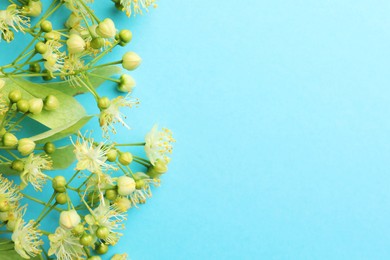 Photo of Fresh linden leaves and flowers on light blue background, top view. Space for text