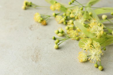 Photo of Fresh linden leaves and flowers on light grey table, closeup. Space for text