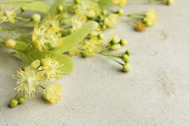 Fresh linden leaves and flowers on light grey table, closeup. Space for text