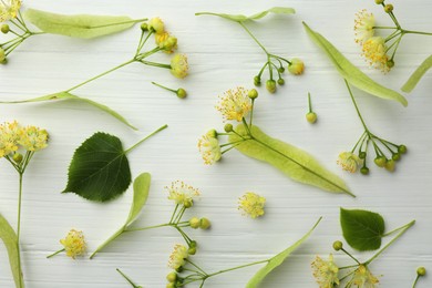 Photo of Fresh linden leaves and flowers on white wooden table, top view