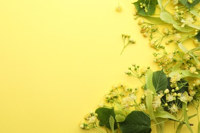 Photo of Fresh linden leaves and flowers on yellow background, top view. Space for text