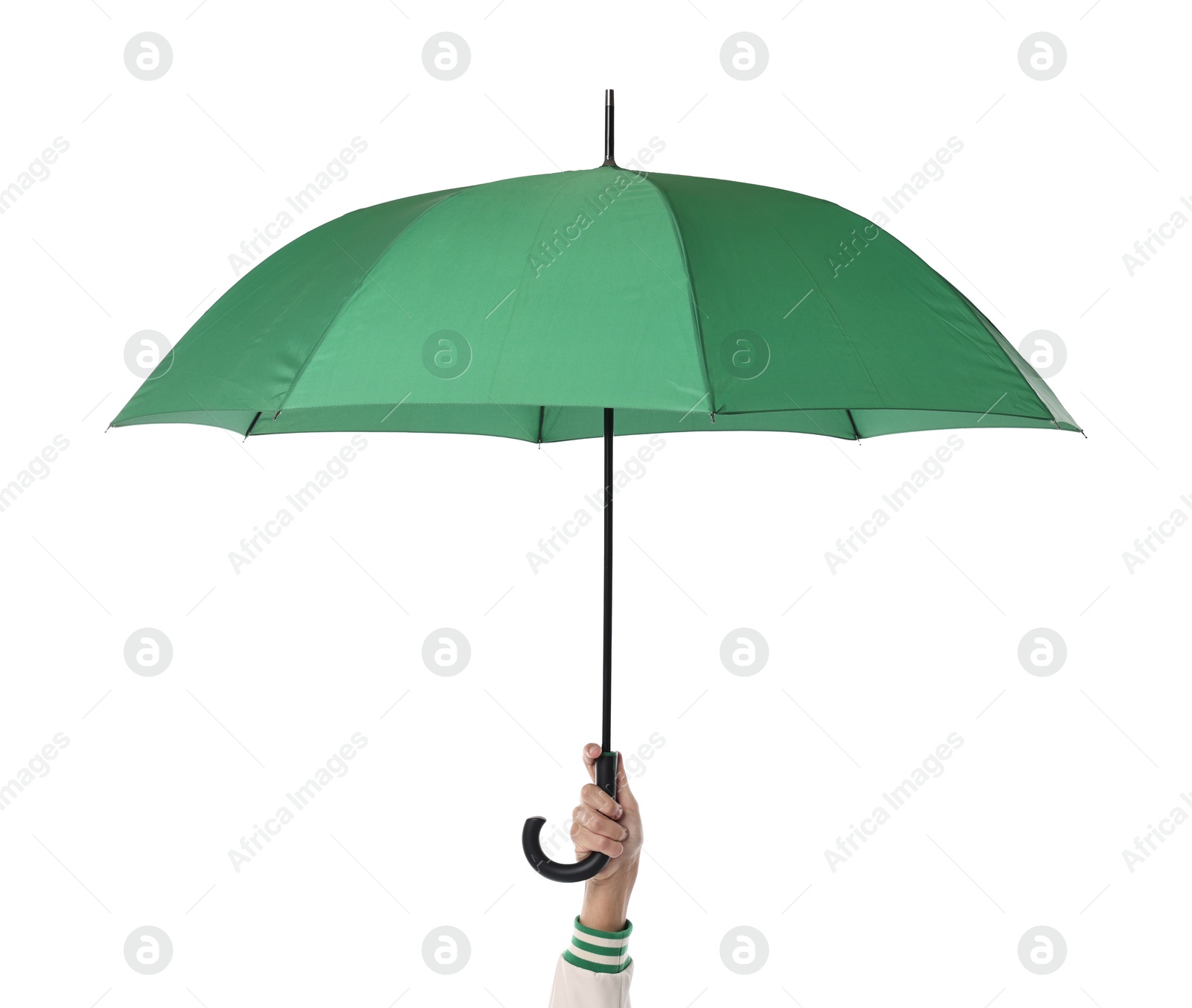 Photo of Man with green umbrella on white background, closeup