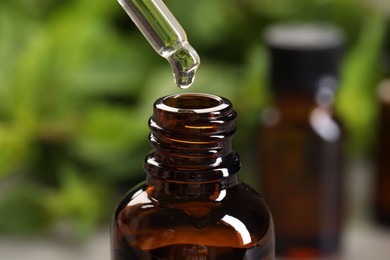 Dripping essential oil into bottle on blurred background, closeup