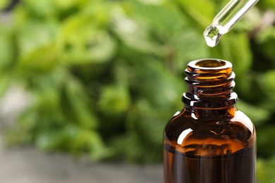 Dripping essential oil into bottle on blurred background, closeup