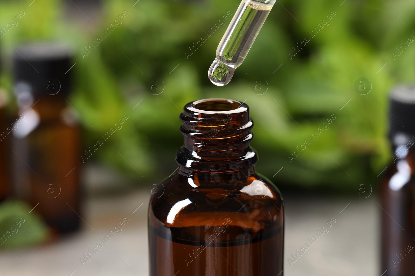 Photo of Dripping essential oil into bottle on blurred background, closeup