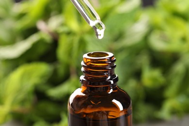 Photo of Dripping essential oil into bottle on blurred background, closeup