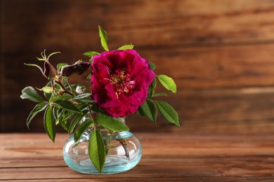 Photo of Beautiful roses in glass vase on wooden table, space for text