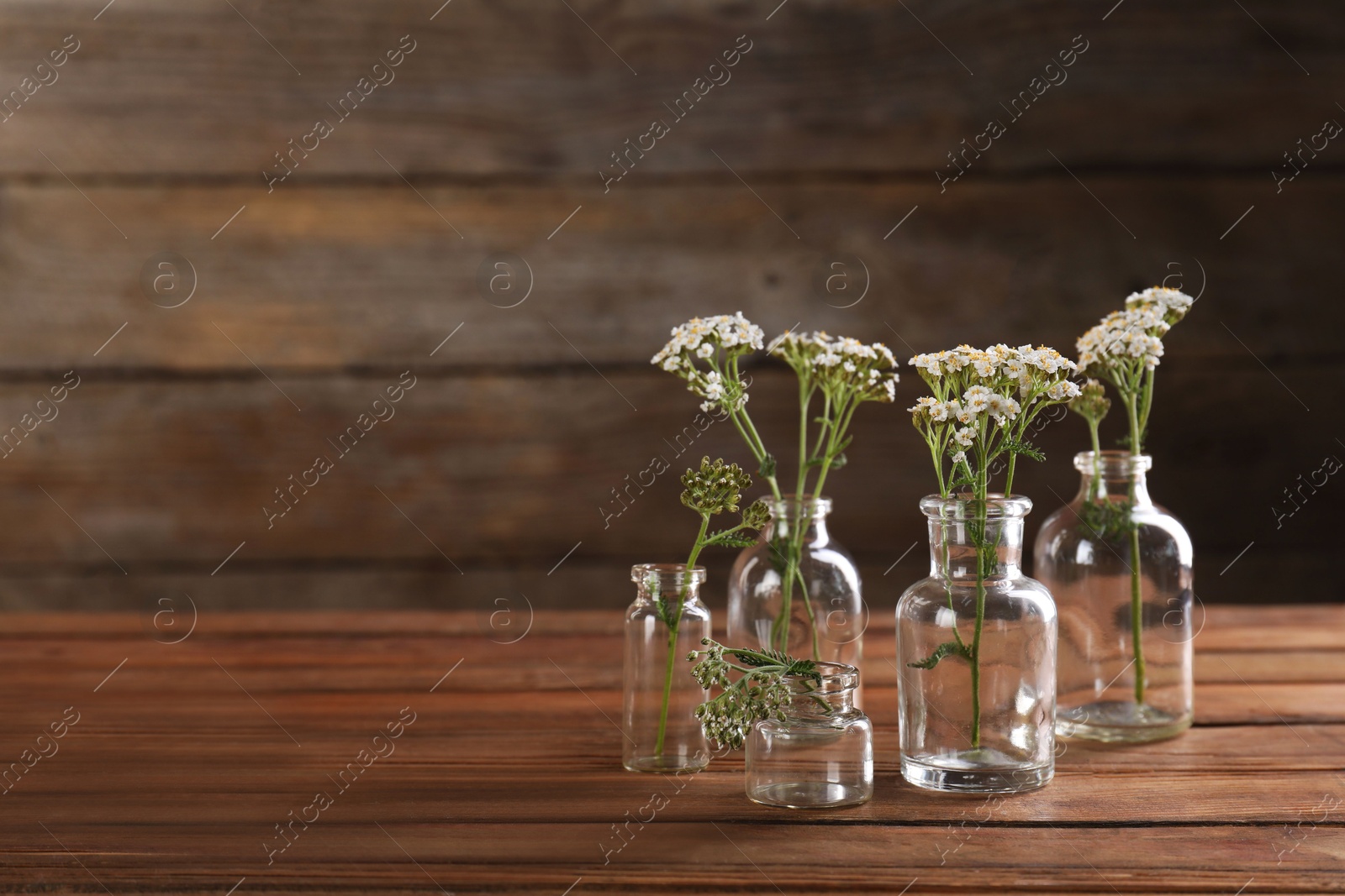 Photo of Yarrow flowers in glass bottles on wooden table, space for text