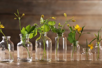 Photo of Celandine flowers in glass bottles on wooden table