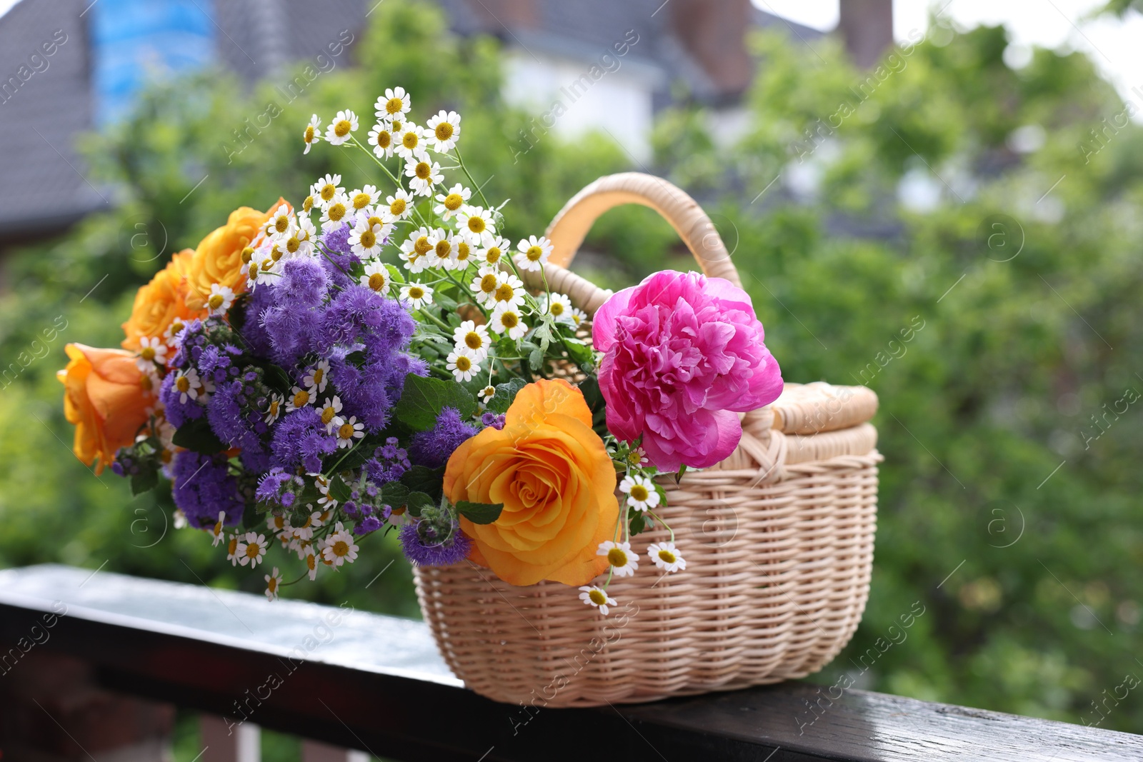 Photo of Wicker basket with beautiful aromatic flowers on balcony railing outdoors