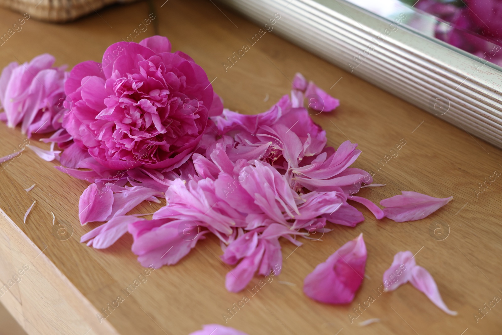 Photo of Beautiful pink peony and petals on wooden table indoors, closeup