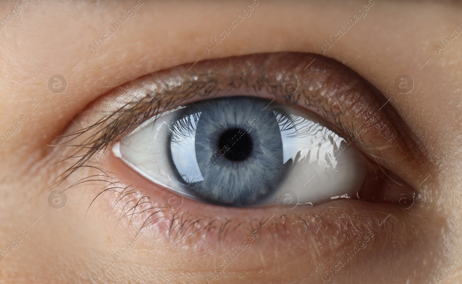 Photo of Woman with beautiful blue eyes, macro photo