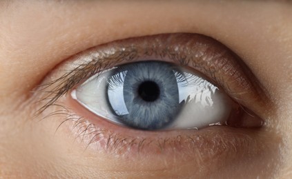 Woman with beautiful blue eyes, macro photo