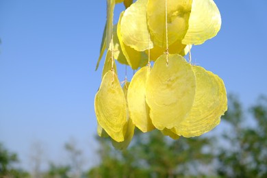 Photo of Beautiful wind chimes against blue sky, closeup