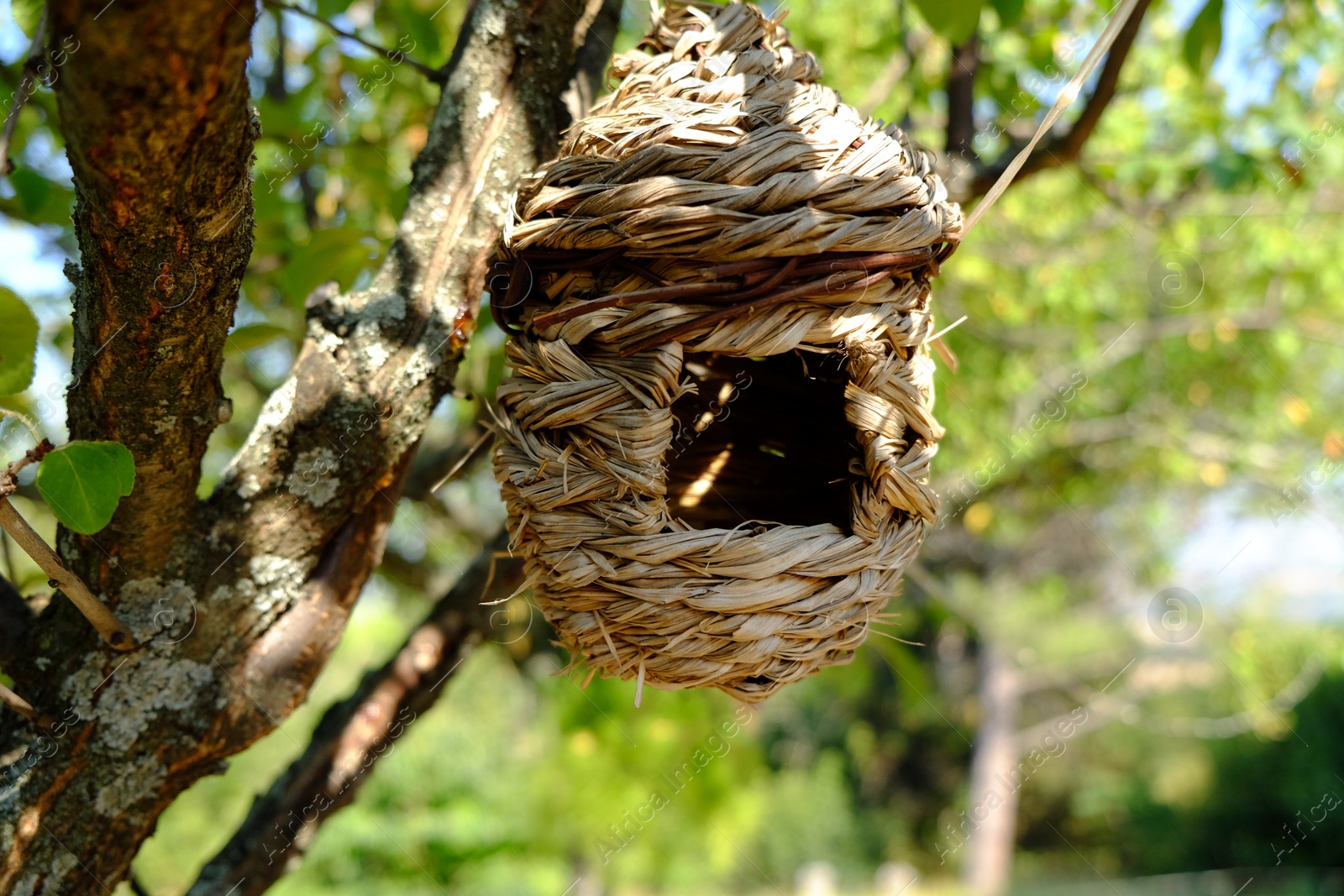 Photo of Wicker bird box on tree in garden