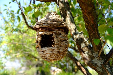 Wicker bird box on tree in garden