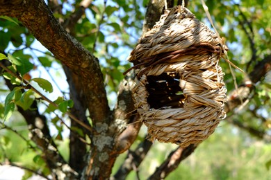 Wicker bird box on tree in garden