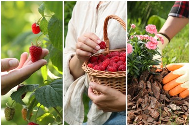 Image of Collage with photos of spending time in nature. Slow living