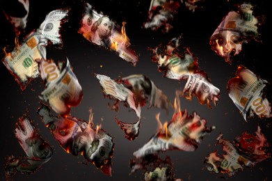 Burning money falling on black background. Financial crisis