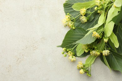 Photo of Fresh linden leaves and flowers on light grey table, top view. Space for text