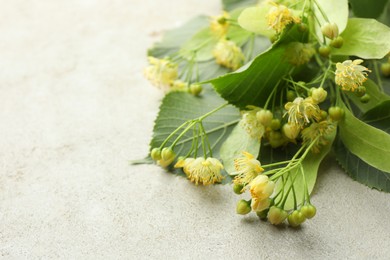 Photo of Fresh linden leaves and flowers on light grey table, closeup