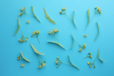 Fresh linden leaves and flowers on light blue background, top view