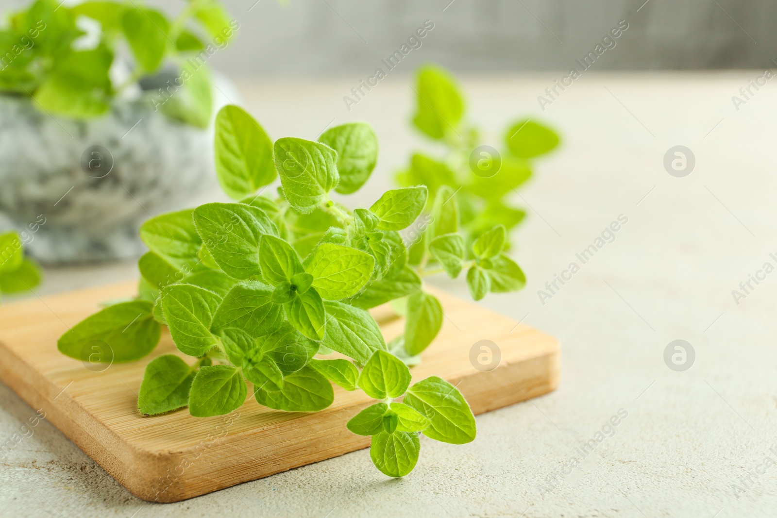 Photo of Sprigs of fresh green oregano on light textured table, closeup