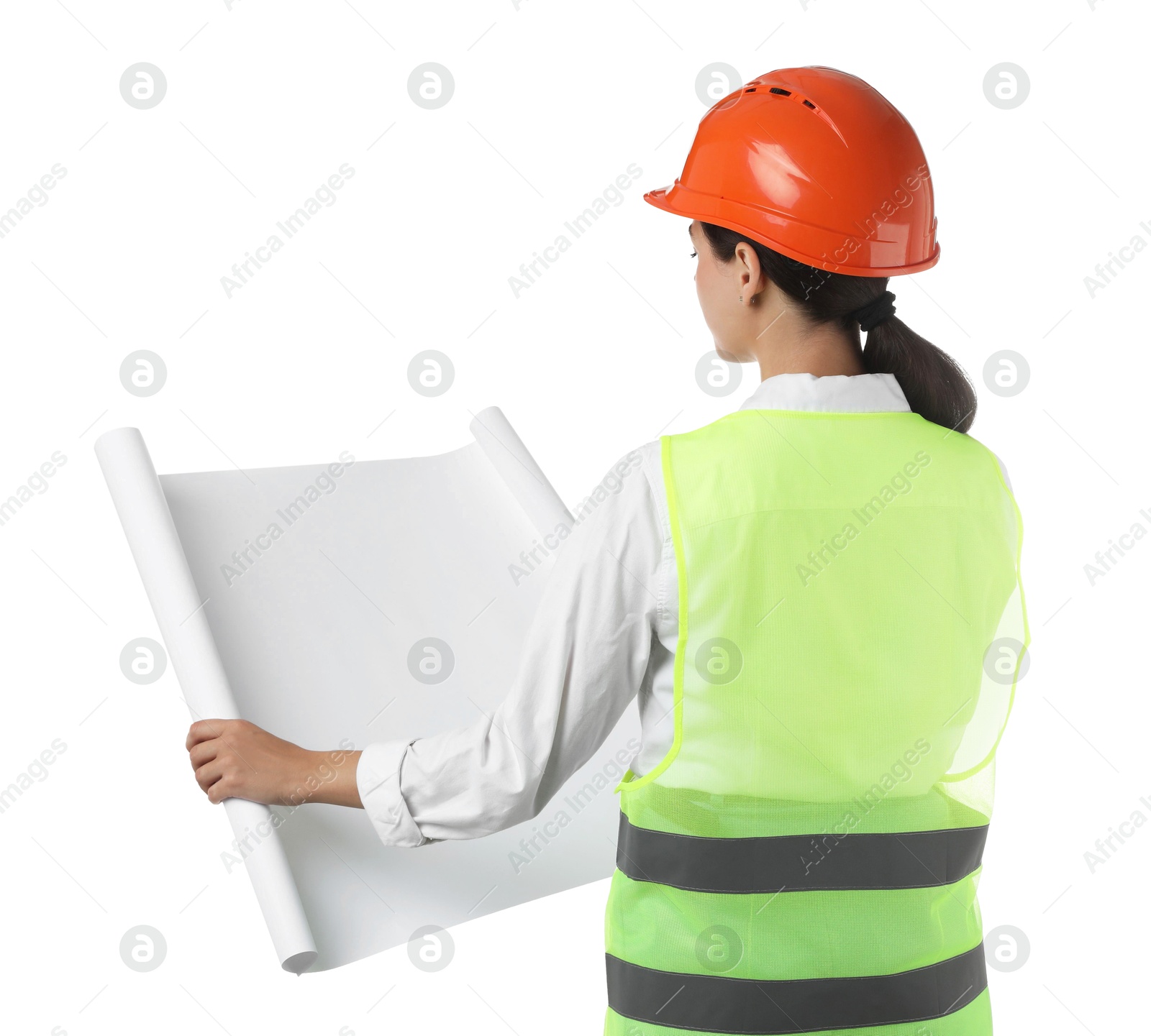 Photo of Engineer in hard hat with draft on white background