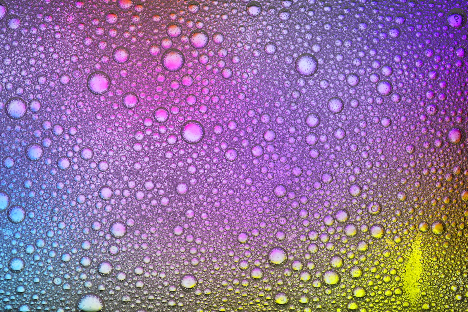 Photo of Essential oil bubbles on color background, top view. Cosmetic product