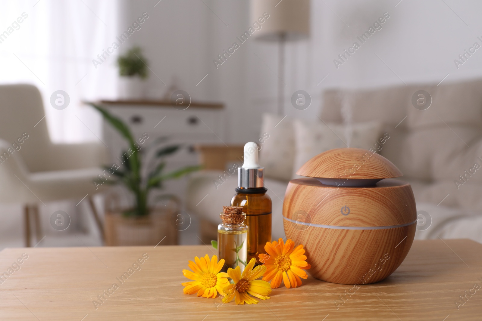 Photo of Essential oil diffuser, cosmetic products and calendula flowers on wooden table at home, space for text