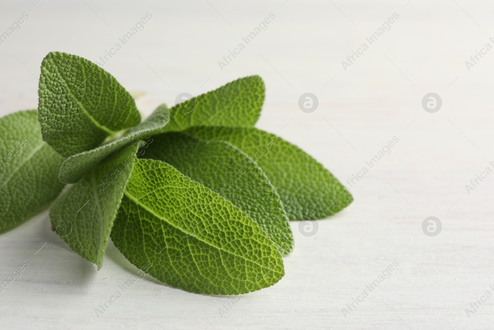 Photo of Fresh sage leaves on light wooden table, closeup