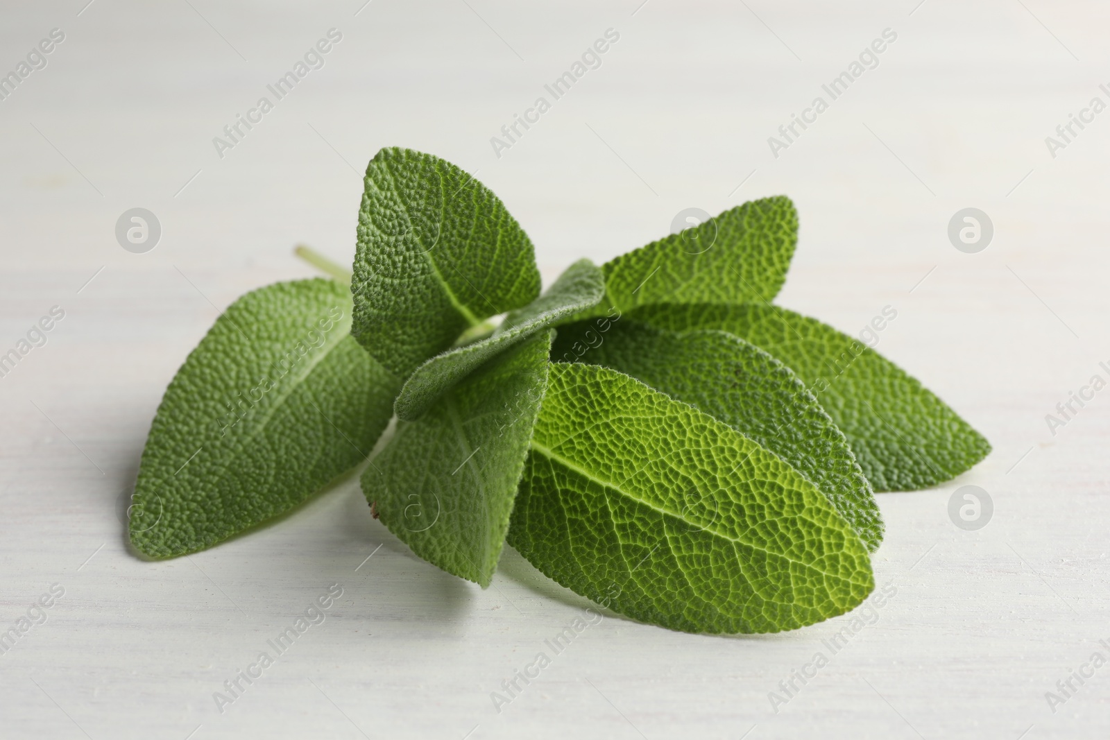 Photo of Fresh sage leaves on light wooden table, closeup