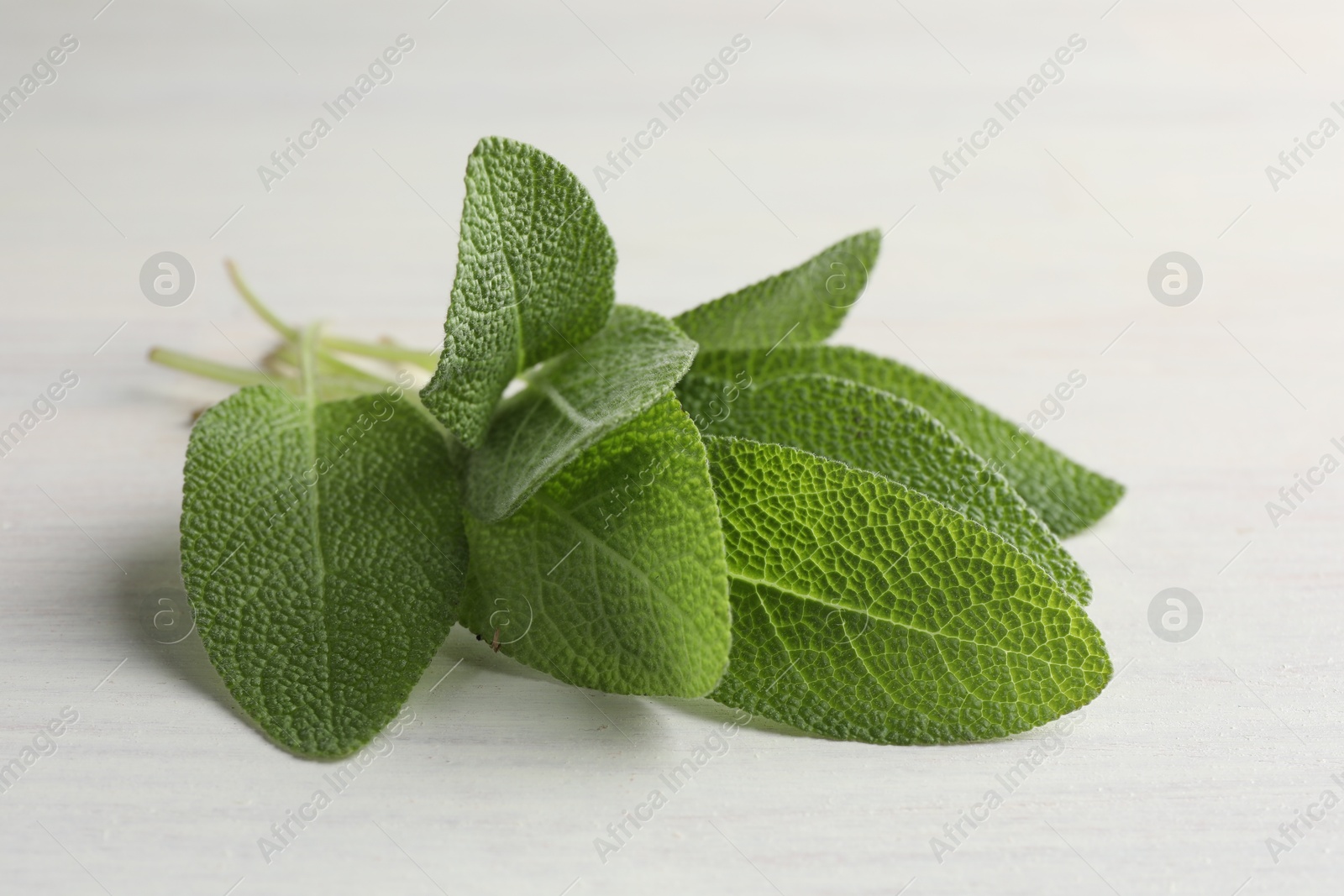 Photo of Fresh sage leaves on light wooden table, closeup